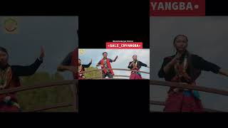 Sali chyangba @rameshtamang625 #ramesh  #singa #mhendomaya #video  #treanding