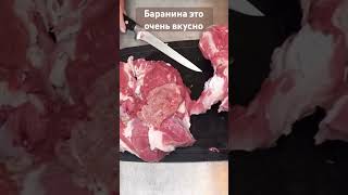 Хорошее мясо баранины имеет красный или розовый цвет мяса и белый без желтизны жир и кости