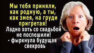 - Мы тебя приняли, как родную, - возмутилась свекровь, - А ты, как змея, пригретая на груди!