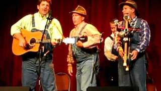 The Tennessee Mafia Jug Band "Whoa Mule Whoa"