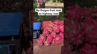 #farming #directmarketing #dragonfruitfarming #nature #fruit #agro #agriculture