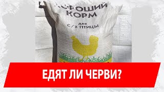 Едят ли черви?