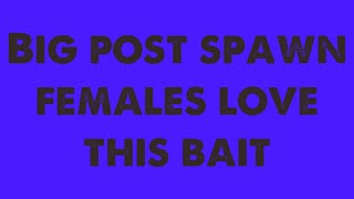 Post Spawn Females Love this Bait