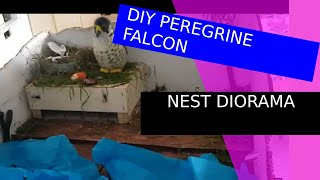 DIY PEREGRINE FALCON NEST DIORAMA