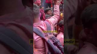 Radha Raman holi Vrindavan holi #holi #brajkiholi #vrindavan #shorts #shortfeed #trending