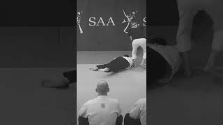 Aikido Art | Shomen Uchi #shorts