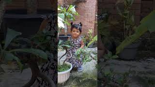 🔴 si GEMOY Verena..merawat bunga💥 cantik dah bisa jalan🤲🤲🤲🤲#viral #shorts #short #youtube #trending