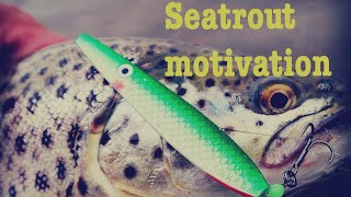 Seatrout motivation