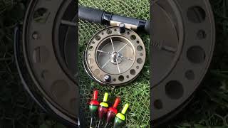 The Wheel of Fortune #shorts #fishing