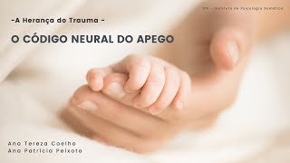 O Código Neural do Apego