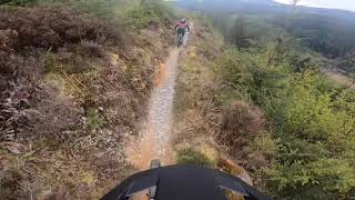 Dyfi forest and the Climachx trail