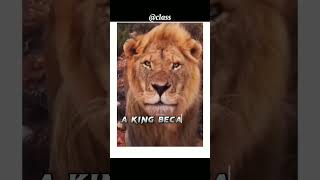 Never mess with king😎😡|shorts|status|viral|sigmarule|motivational quote