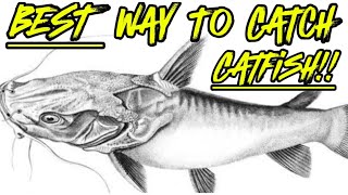 Best Way To Catch Catfish - River Fishing Tips And Techniques