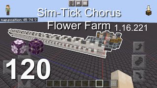 Minecraft Bedrock Tutorials(120) - How to build a Sim-Tick Chorus Flower Farm (1.16.221)