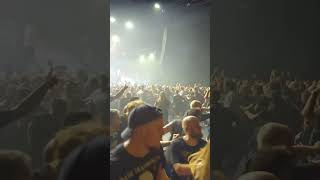 MASSIVE CIRCLE PIT #inflames #hamburg #concert #moshpit #metal #circlepit #crowd #shorts #shortsvid