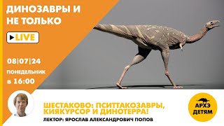 Занятие "Шестаково: пситтакозавры, киякурсор и Динотерра!" // Динозавры и не только // Ярослав Попов