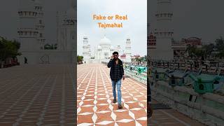 Fake or Real Tajmahal #shorts #shortsfeed #shortsviral #tajmahal #trending