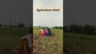 kheti badi karte