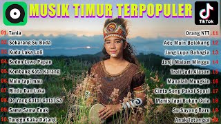 LAGU TIMUR VIRAL TERBARU & TERPOPULER FULL ALBUM 2023 ENAK DIDENGAR SAAT INI