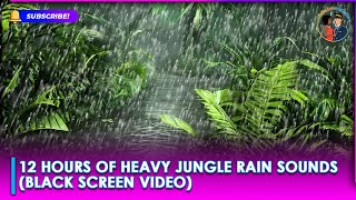 Enjoy 12 Hours Of Calm & Uninterrupted Sleep With Heavy Jungle Rain Sounds.