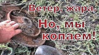 Ветер, жара. Но, мы копаем!