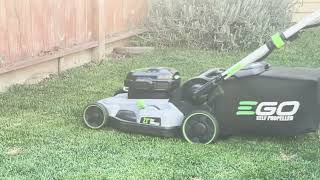 Mowing Backyard with EGO Electric Mower!