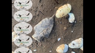 Alabama Arrowhead Finds - Mar 29, 2019