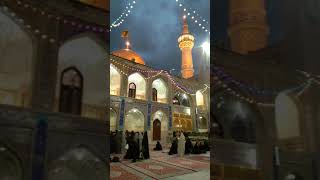 Ya imam reza#love @syedwajahatabbasnaqvi7935 @aliabuzarmehdi12