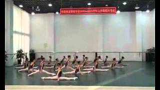 china Professional Dance Academy Dance basic skills