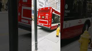 TTC 2023 Nova Bus LFS HEV #7073 on route 97C, pulling into Yonge and College