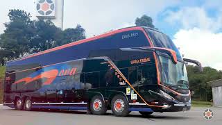 Paradiso G8 1800 DD | Expresso Nova Palmira - RS