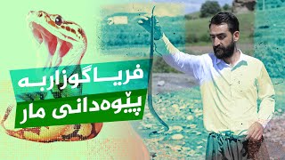 چی بکەین لە کاتی پێوەدانی ماردا