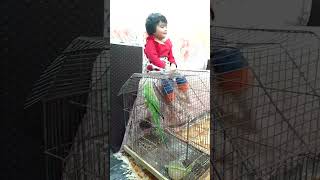 baby playing with parrot #viral