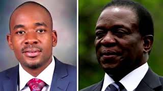 Why the Economy will vote for Chamisa: Zhuwao