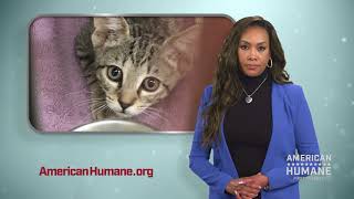 Vivica A. Fox - Helping Our Best Friends In Their Worst Times