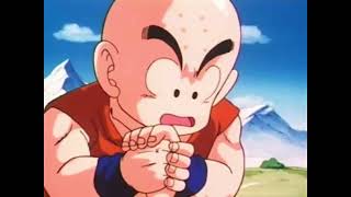 EP.4  Goku's Unusual Journey #krillin #goku