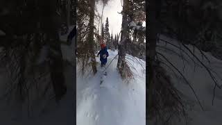 Steamboat Trees #snowboarding #insta360 #steamboat #colorado #snow