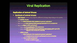 Viral Replication 2