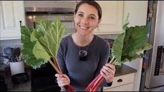 First Garden Harvest Of The Year - Rhubarb Custard