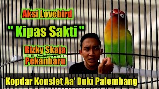 Aksi Lovebird " Kipas Sakti " Di Kopdar Konslet Aa' Duki Palembang