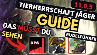 11.0.5 WOW Dieser DMG! Rudelführer TWW Tierherrschaft Jäger M+ /Tiefen  und Raid Guide #wow