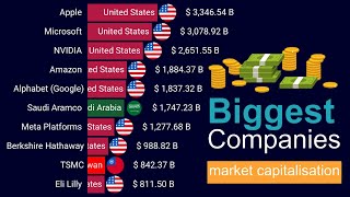 Top 15 Biggest Companies by Market Capitalization | 1996 - 2024