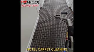 Hotel Carpet Cleaning in Miami Beach 305-631-5757