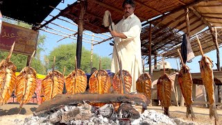 SPECIAL BALOCHI GRILLED FISH AROUND WOOD FIRE | CHARCOAL GRILLED FISH PROCESS BY FISH MASTER