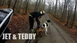 Bikejoring - Jet et Teddy