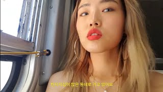 vlog! 쫌쫌따리 여행+호캉스 (샌프란시스코,LA,제주,포시즌스호텔)