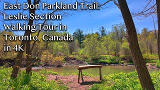 East Don Parkland Trail: Leslie Section - 6.28KM Walking Tour in Spring