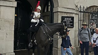 SHOCKING: King's Guard Horse Goes Berserk! Don't Miss This Wild Encounter with Tourists!"