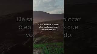 Deus é o consolo que não apenas corrige, mas também cura. #shorts #Deus #processo