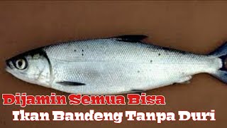 Cara Menghilangkan Duri Ikan Bandeng Tanpa Cabut Duri Dijamin Gampang